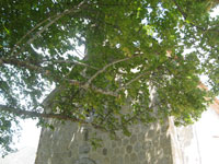 lieu1